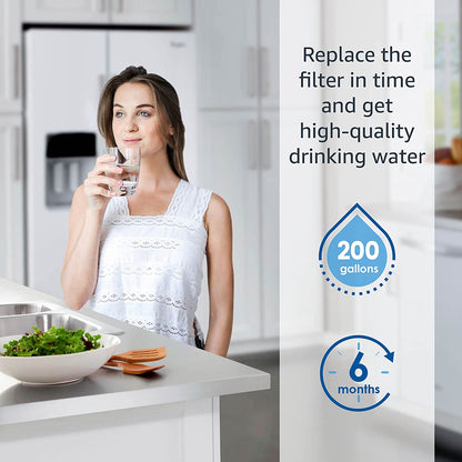 Semeso W10413645A Refrigerator Water Filter for EDR2RXD1, W10238154, P6RFWB2, 46-9082, 46-9903